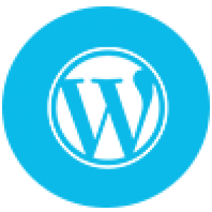 wordpress-training-icon-1 wordpress-training-icon-1